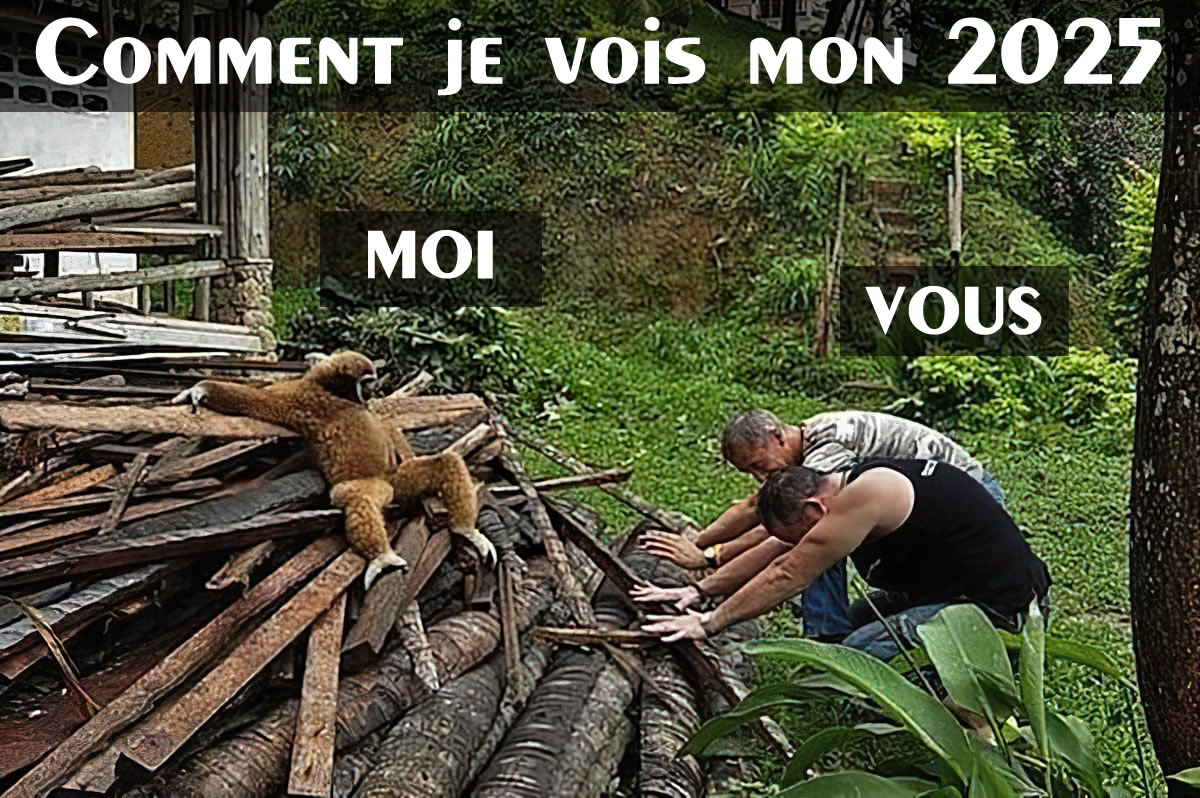 Image drôle comment je souhaite que la nouvelle année soit pour moi