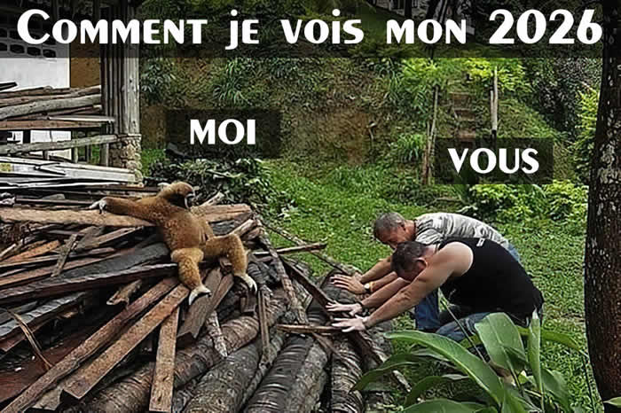 image drole 2026 : Comment je souhaite que ma nouvelle année soit
