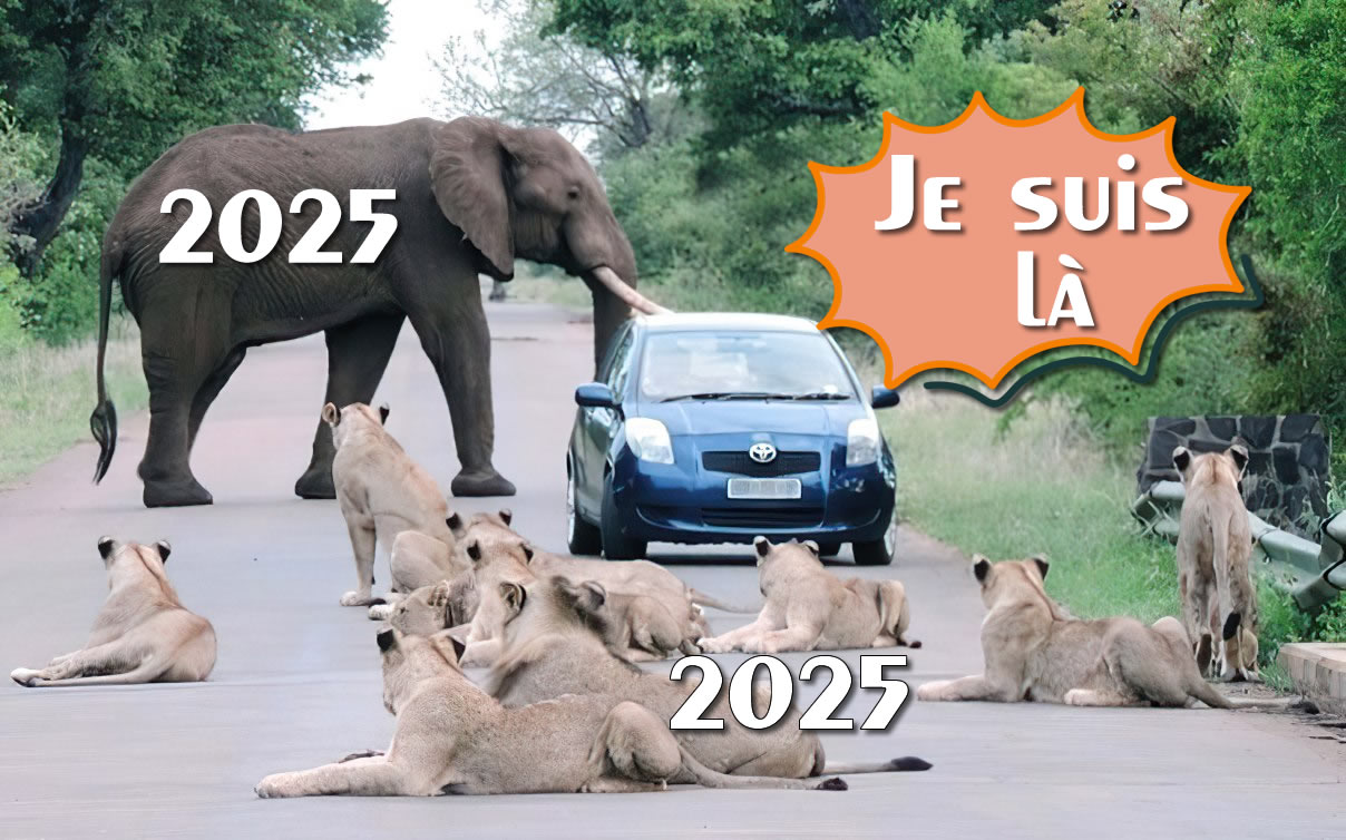 Image drôle Je suis entre 2024 et 2025