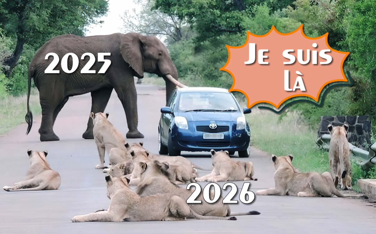 Image drôle Je suis entre 2026 et 2027