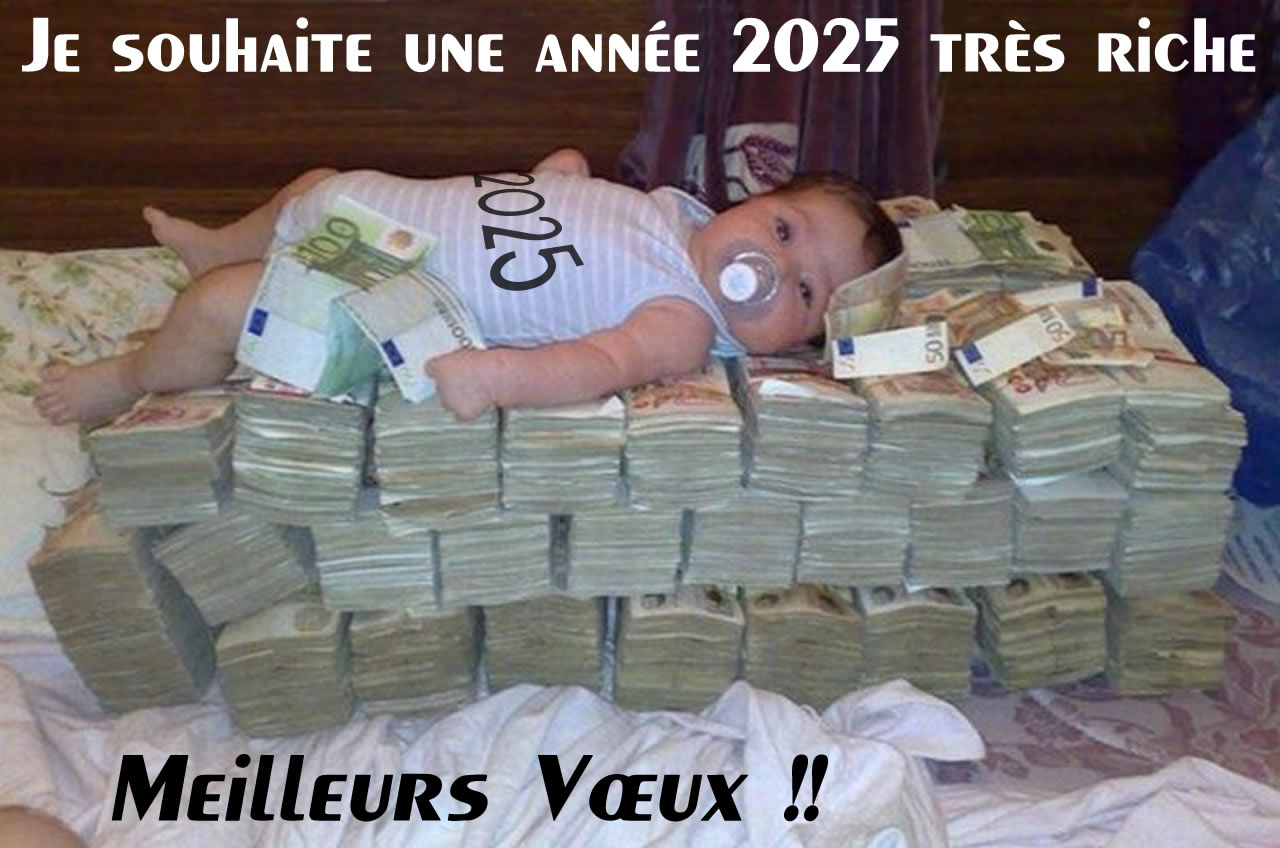 Image drôle Je te souhaite une année 2025 aussi riche