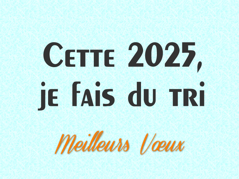 Image drôle: Bonnes résolutions 2025, Cette 2025, je fais du tri.