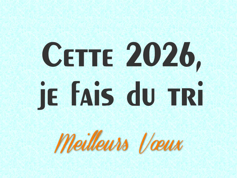 Image drôle: Bonnes résolutions 2026, Cette 2026, je fais du tri.