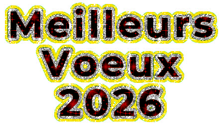 glitter meilleurs voeux 2026