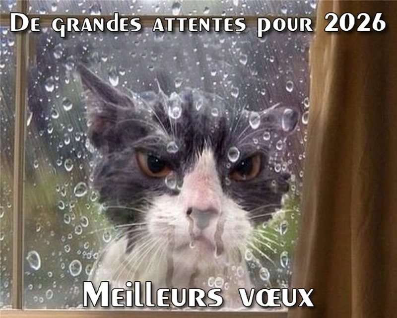 image drole de grandes attentes pour 2027