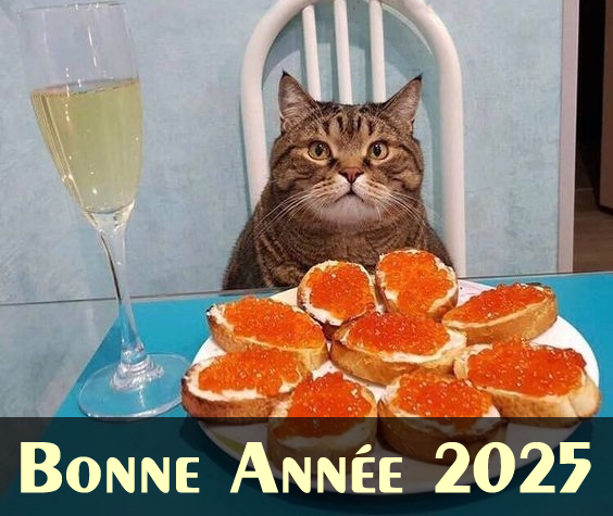 joyeux noël et bonne année 2024 avec chat