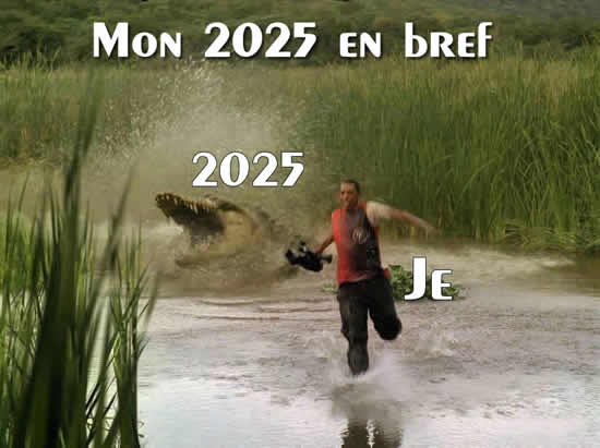 Image : À quoi ressemblait mon année 2026, résumée brièvement