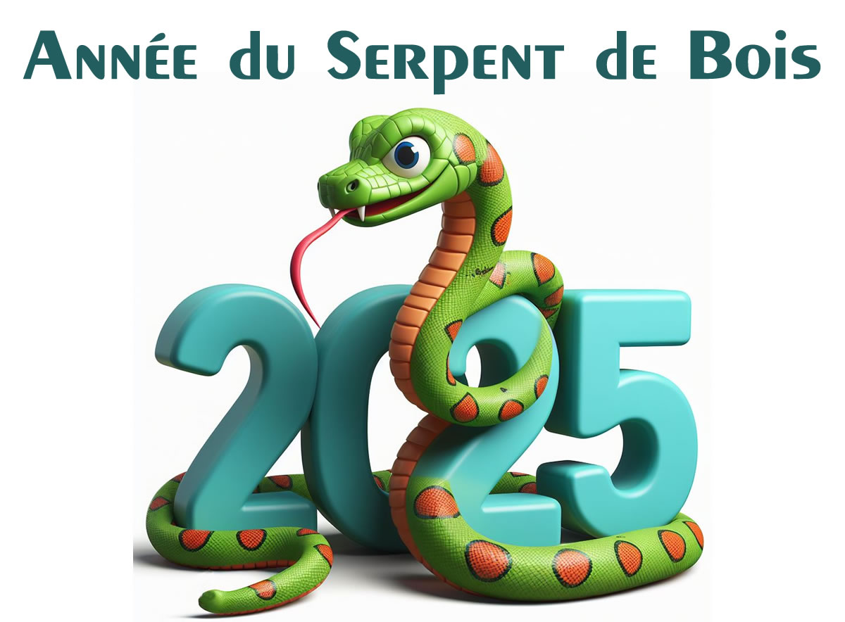 Image Bonne Année 2025 chinois année du Serpent de bois noire