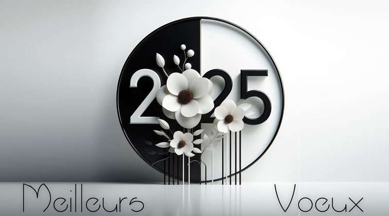 image élégante et minimaliste avec 2025 ayant le zéro remplacé par une fleur