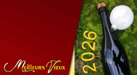 photo toast à la nouvelle année