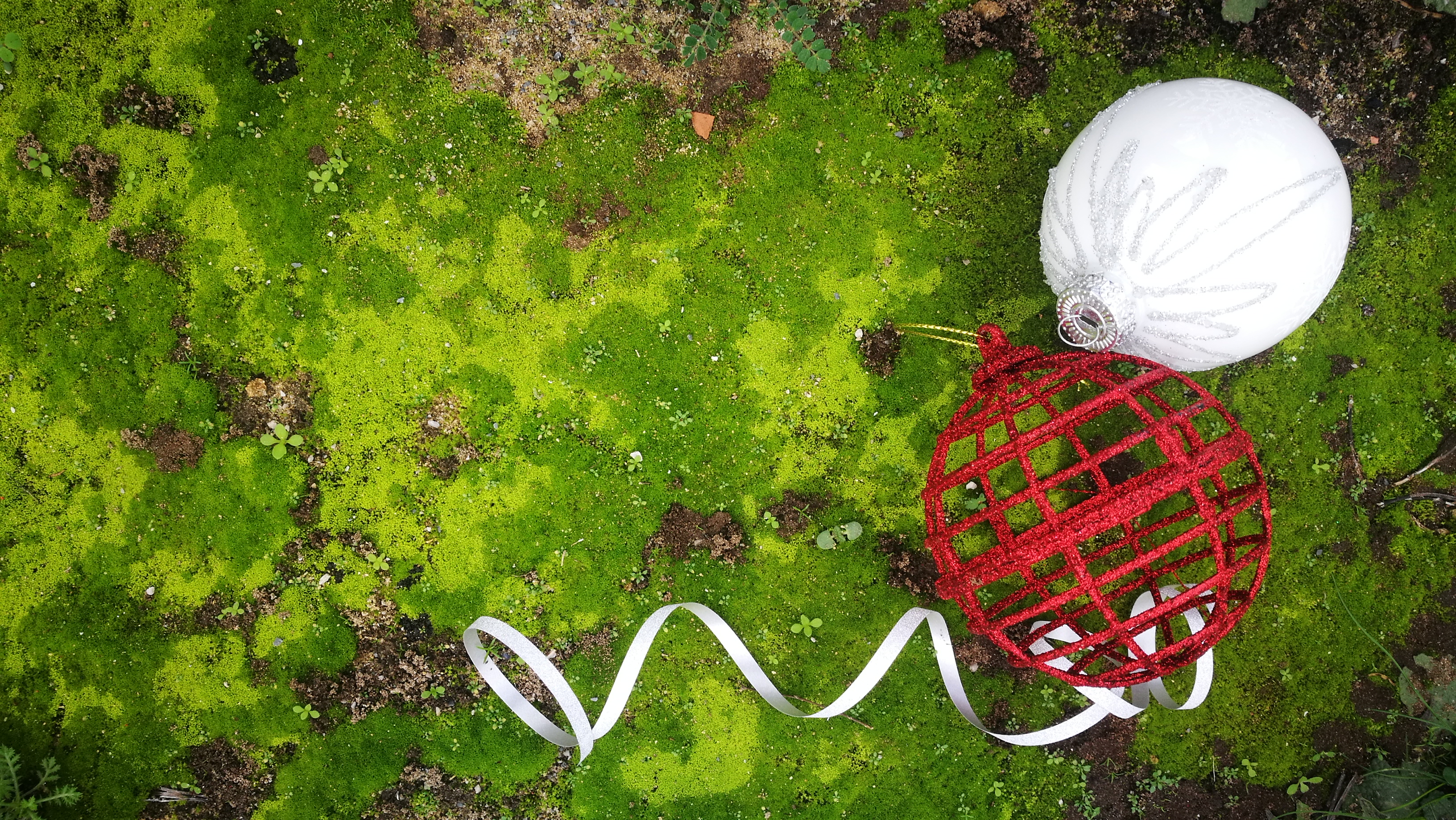 Photo réalisée sur un tapis de mousse verte avec deux boules de Noël, blanches et rouges