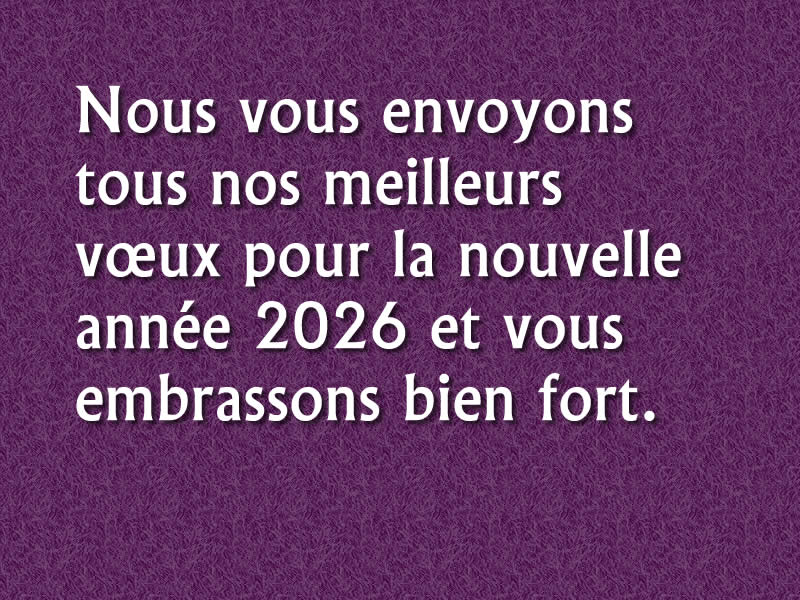 meilleurs vœux pour la nouvelle année 2026